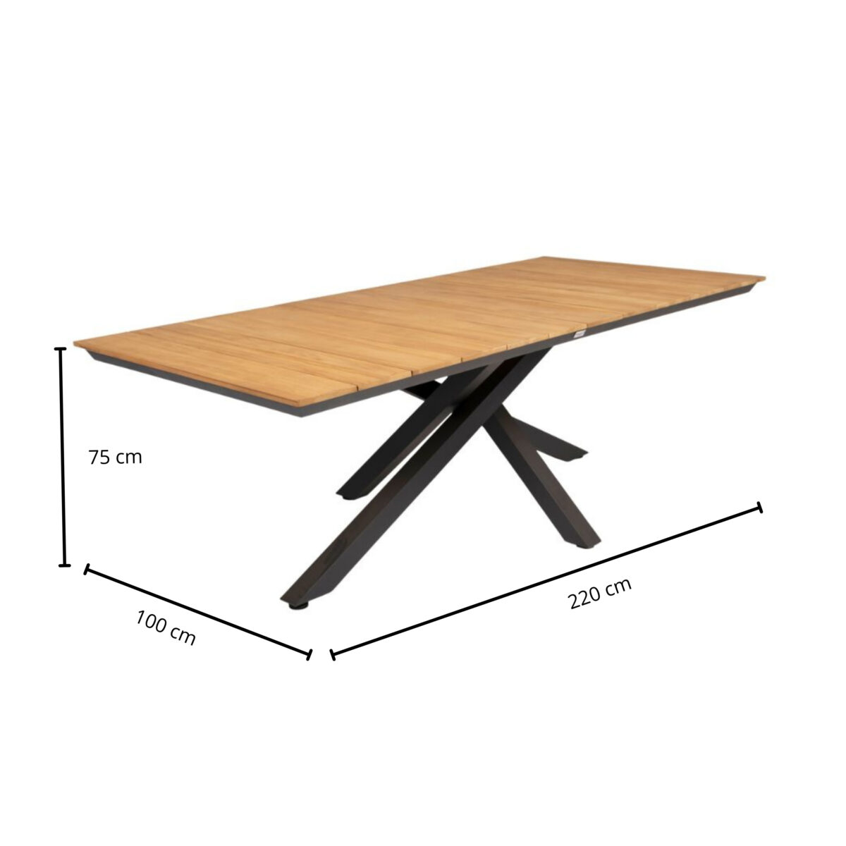 Tierra Orion dining tafel 220x100cm Teak - Afbeelding 2